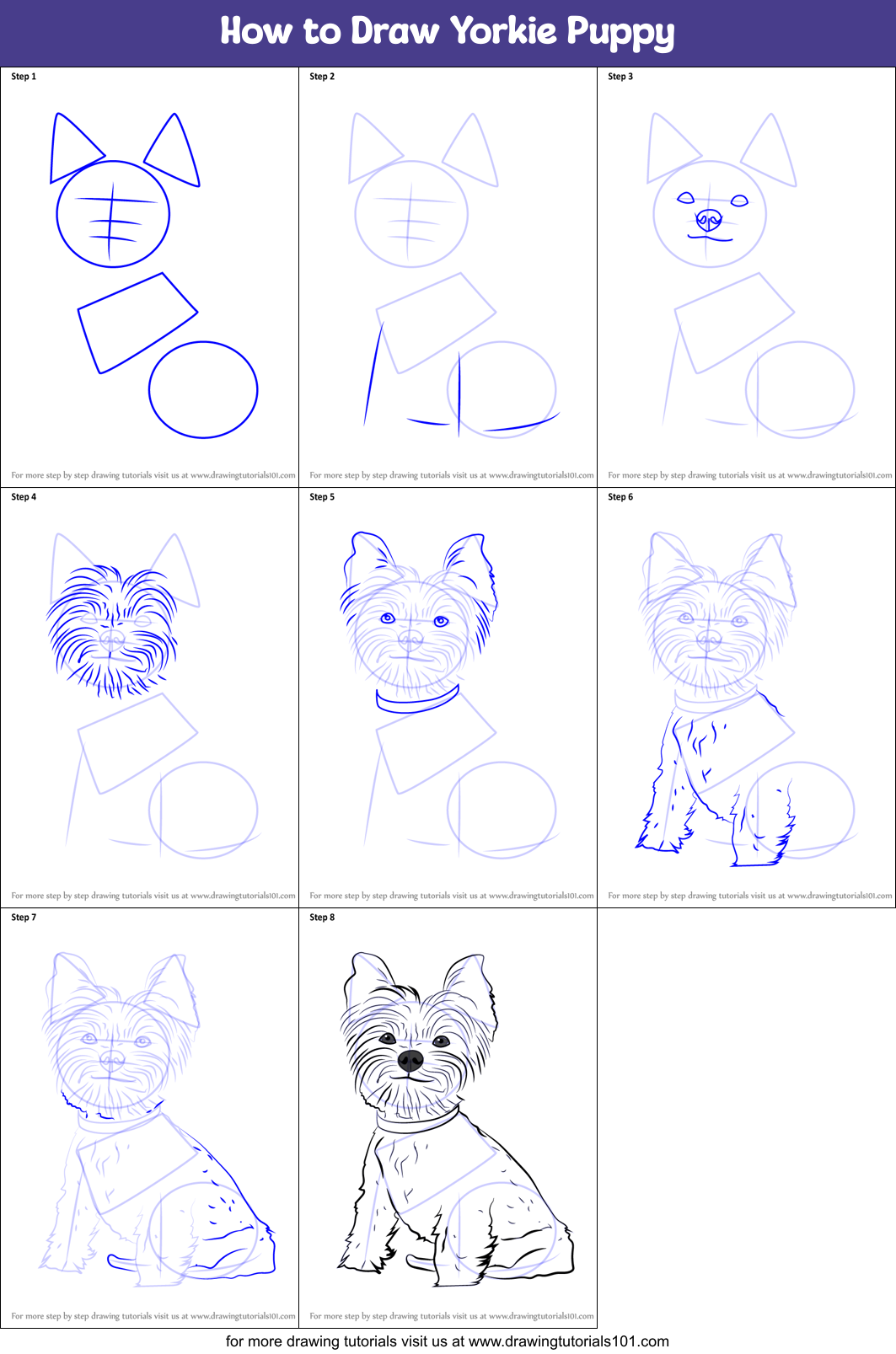 How to Draw Yorkie Puppy printable step by step drawing sheet