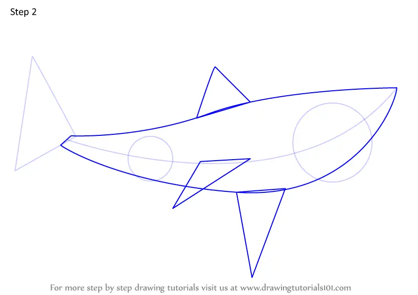 Learn How To Draw The Meg Aka Megalodon Extinct Anima vrogue.co