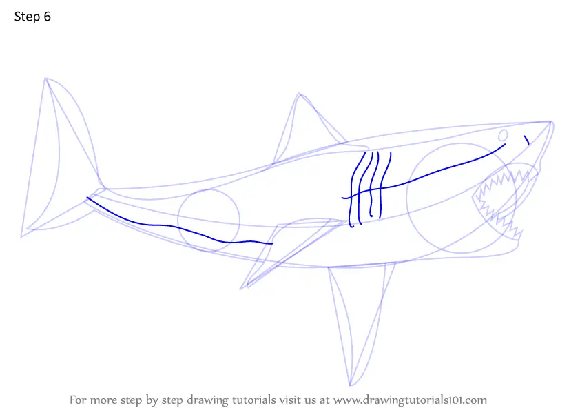 Как нарисовать мегалодон