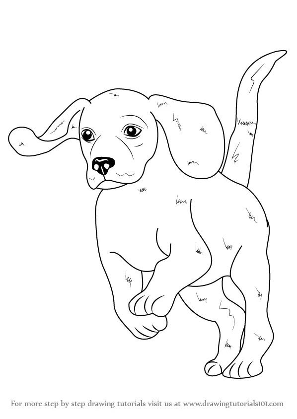 Learn How to Draw a Beagle (Farm Animals) Step by Step : Drawing Tutorials