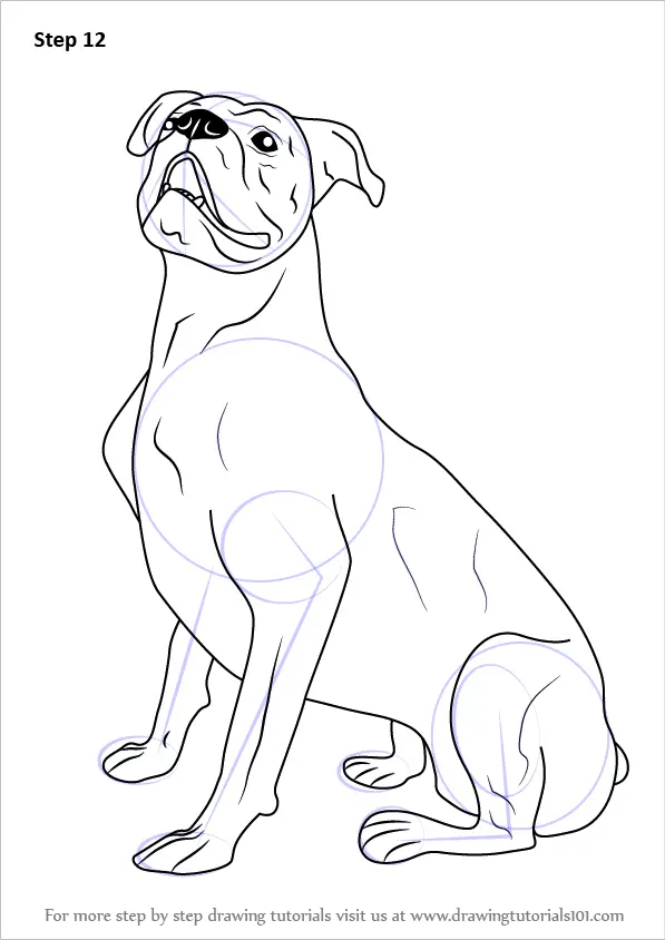 Learn How to Draw a Boxer Dog (Farm Animals) Step by Step : Drawing