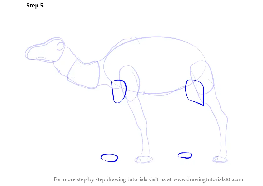 Learn How to Draw a Camel (Farm Animals) Step by Step : Drawing Tutorials
