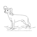 How to Draw a Chinese Crested Dog