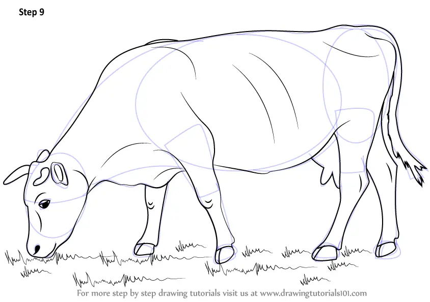 Amazon.com: Stupell Industries Farm Cattle Cow Pencil Sketch Drawing  Portrait, Design by Valerie Wieners