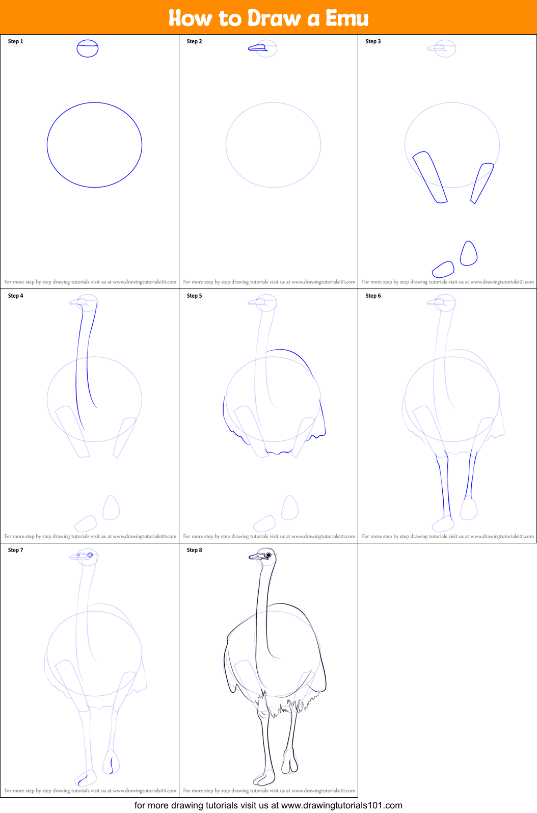 How To Draw A Emu Printable Step By Step Drawing Sheet 