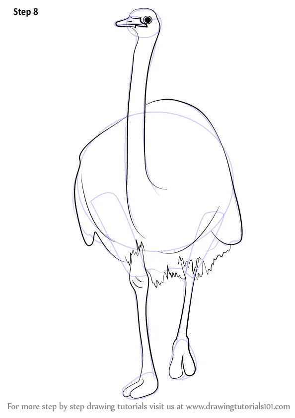 Learn How to Draw a Emu (Farm Animals) Step by Step Drawing Tutorials