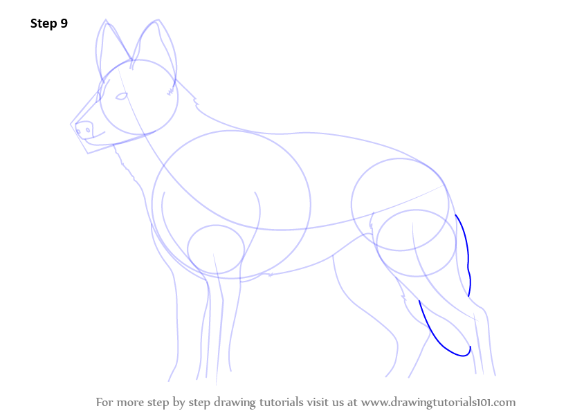 Learn How to Draw German Shepherd Dog (Farm Animals) Step by Step