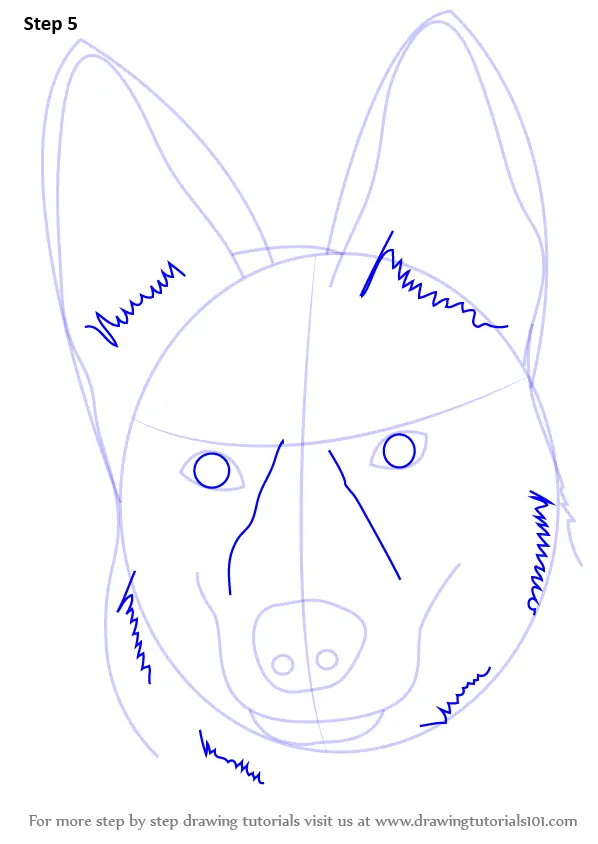 Step by Step How to Draw German Shepherd Dog Face