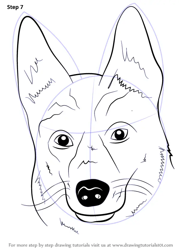Learn How to Draw German Shepherd Dog Face (Farm Animals) Step by Step