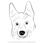 How to Draw German Shepherd Dog Face