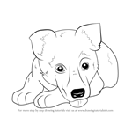 How to Draw German Shepherd Puppy