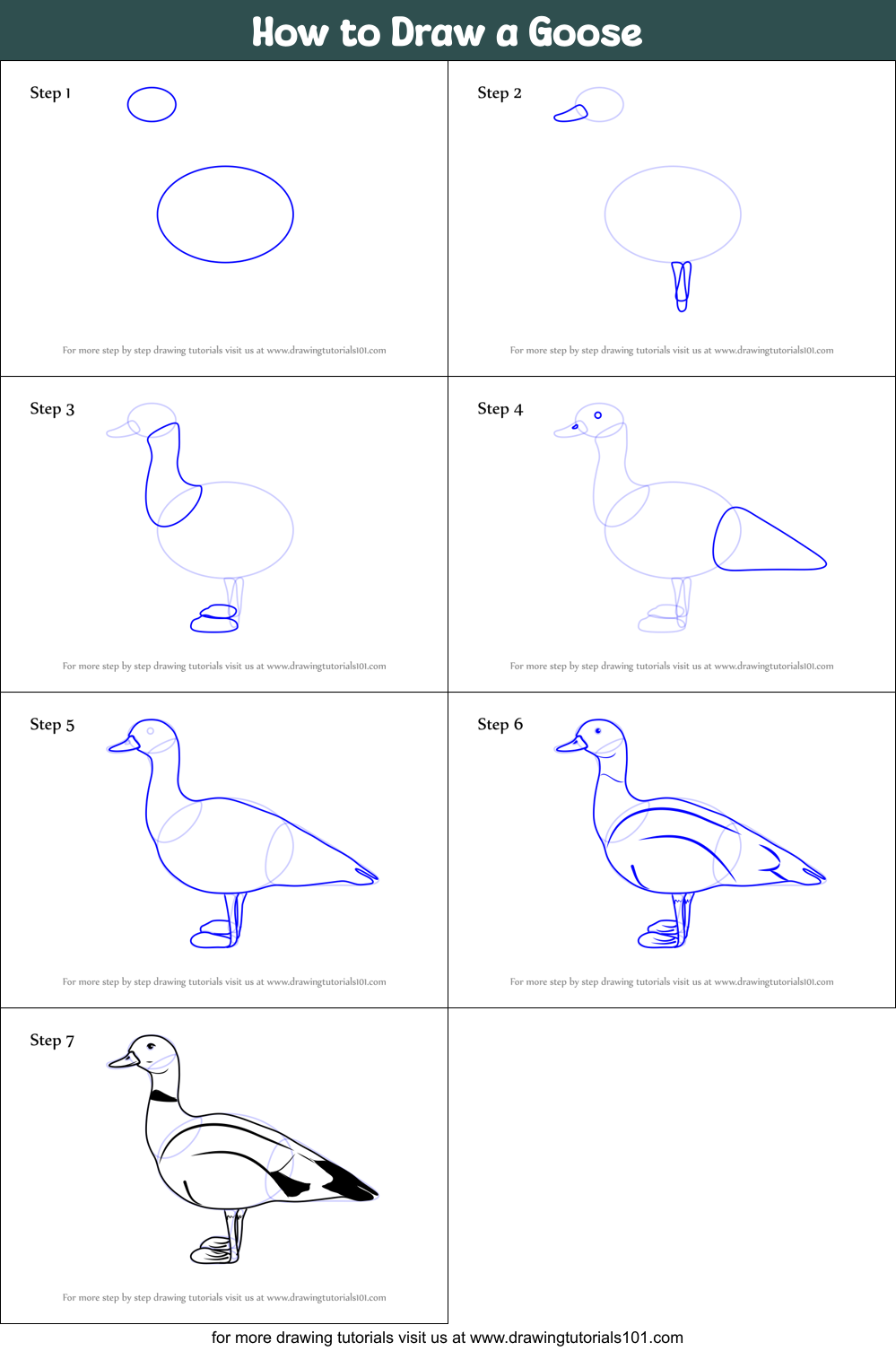 How to Draw a Goose printable step by step drawing sheet