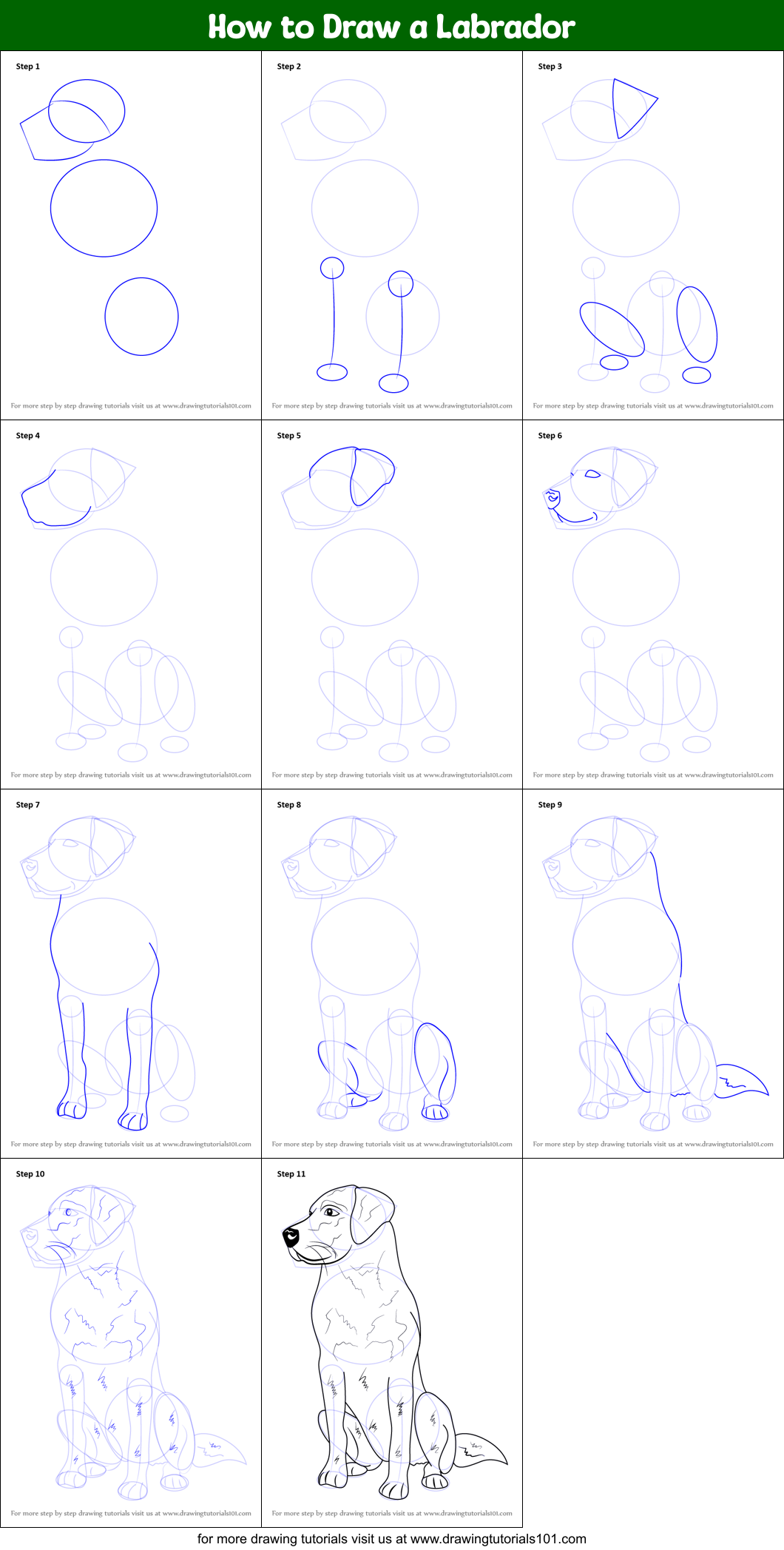 How to Draw a Labrador printable step by step drawing sheet ...