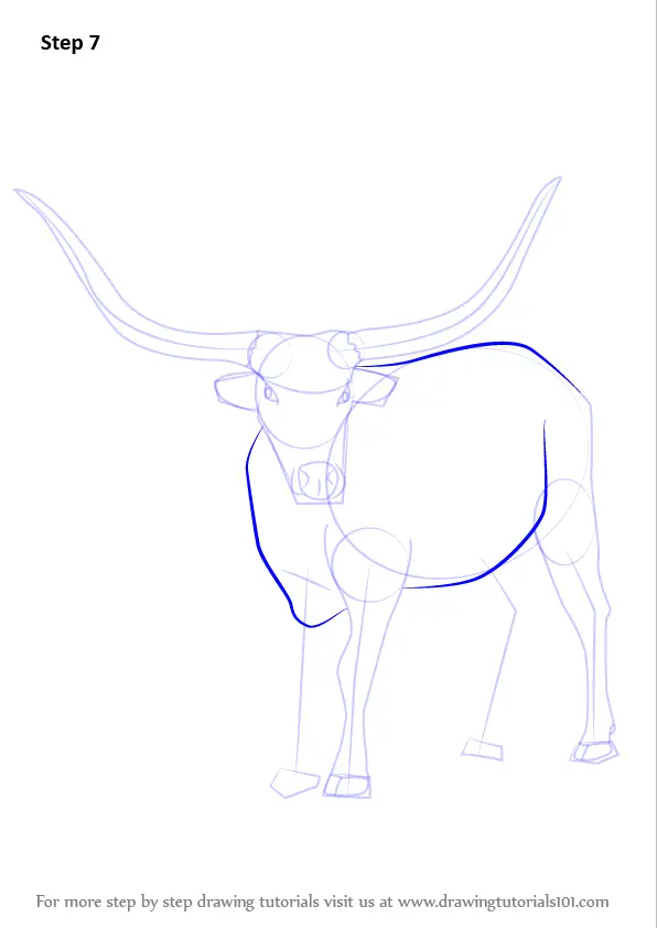 Learn How to Draw a Longhorn Cattle (Farm Animals) Step by Step