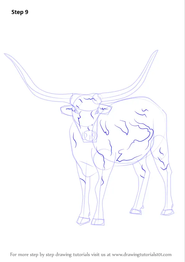 Learn How to Draw a Longhorn Cattle (Farm Animals) Step by Step