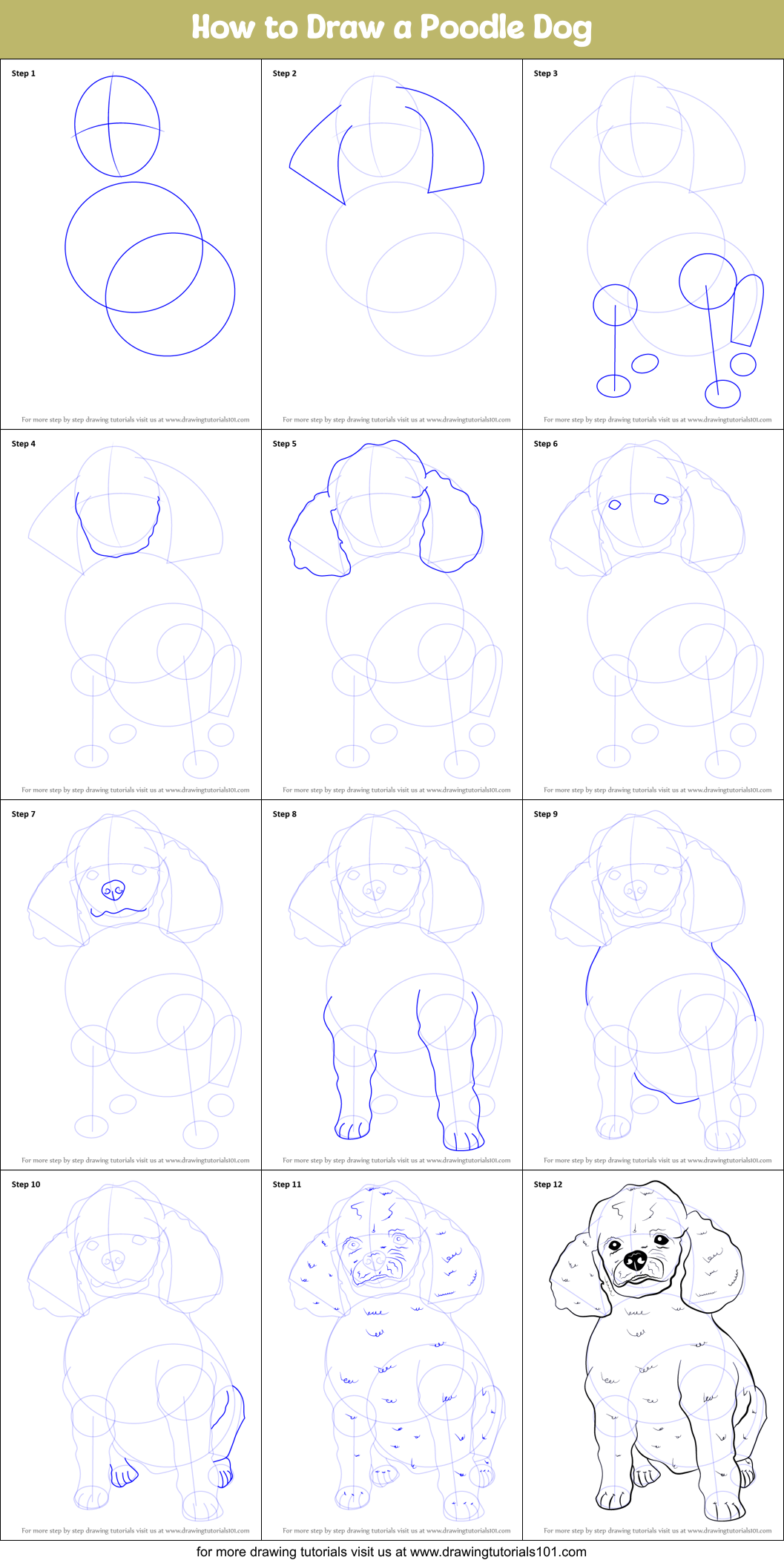 How to Draw a Poodle Dog printable step by step drawing sheet ...