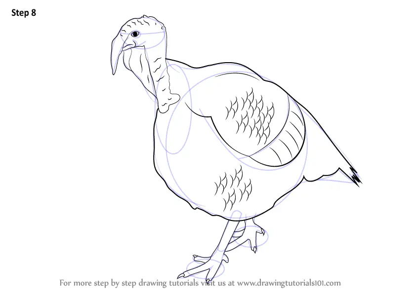 Learn How to Draw a Turkey (Farm Animals) Step by Step Drawing Tutorials