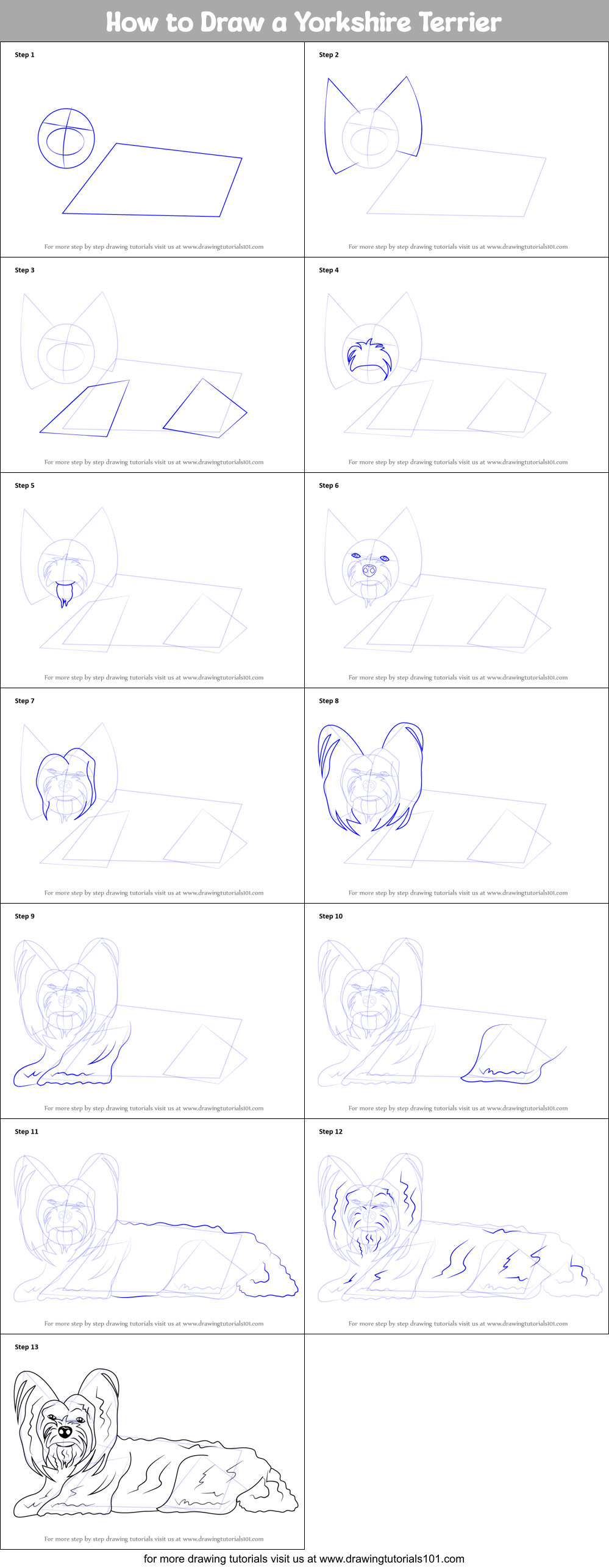 How to Draw a Yorkshire Terrier printable step by step drawing sheet ...