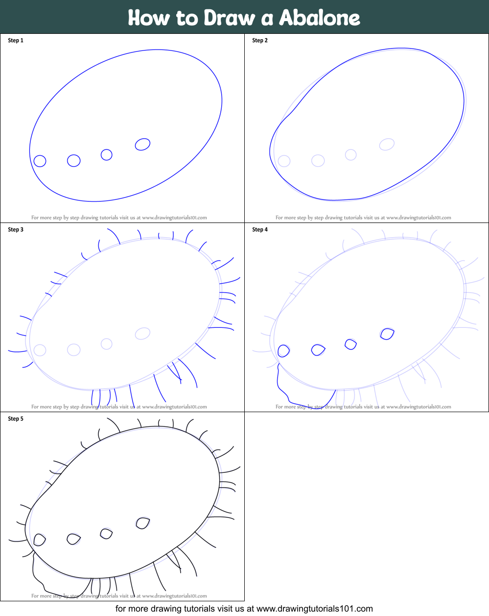 How to Draw a Abalone printable step by step drawing sheet