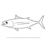 How to Draw a Albacore