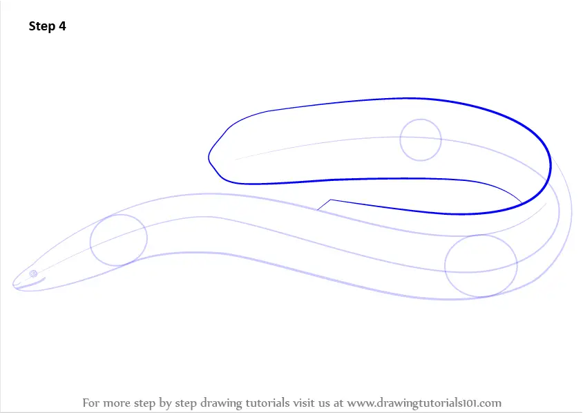 Learn How to Draw an American Eel (Fishes) Step by Step : Drawing Tutorials