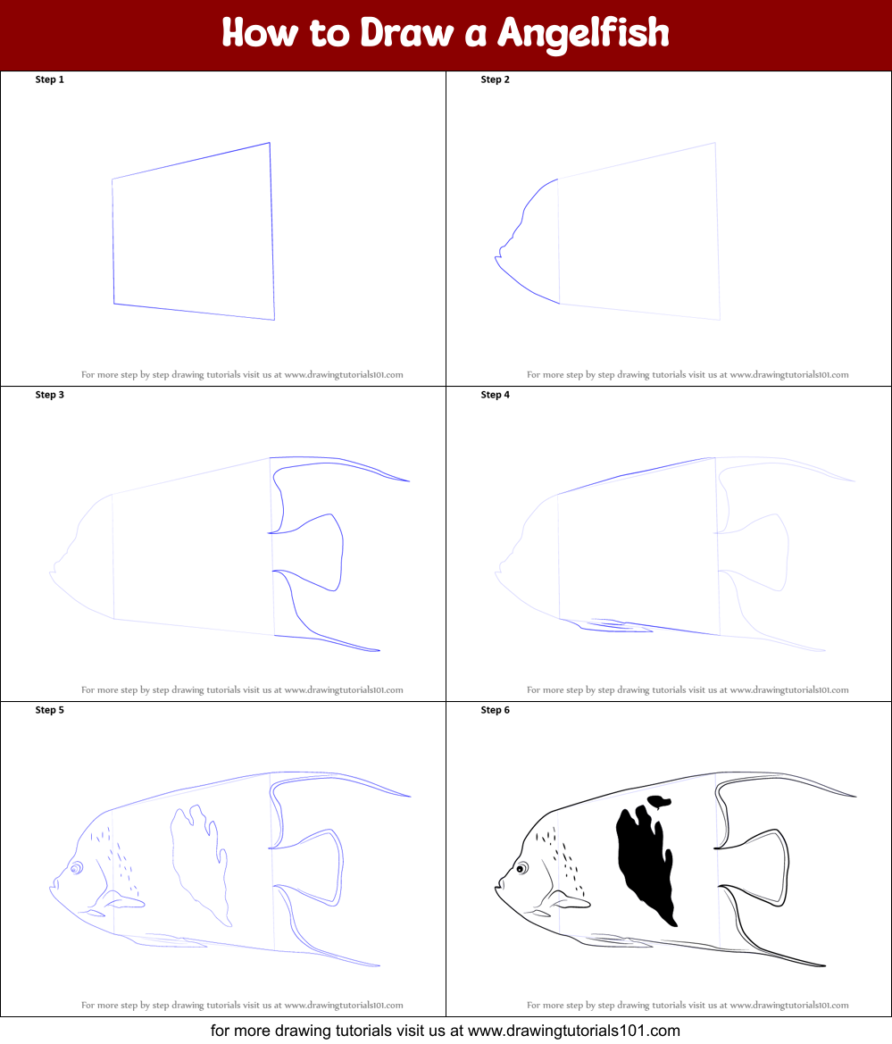 How to Draw a Angelfish printable step by step drawing sheet