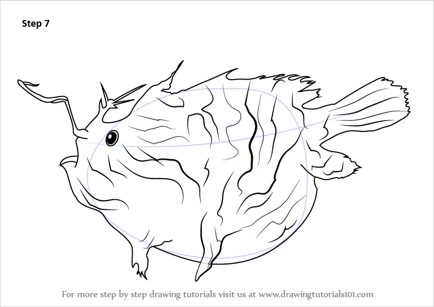 Step by Step How to Draw an Anglerfish : DrawingTutorials101.com