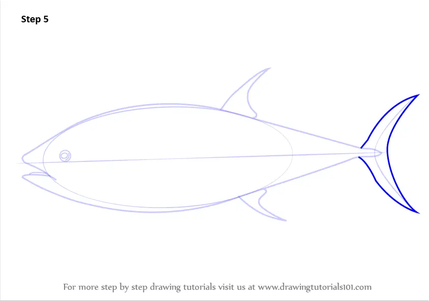 Тунец как рисовать