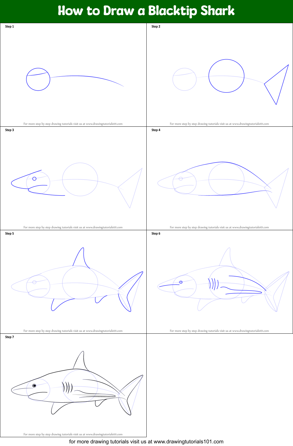 How to Draw a Blacktip Shark printable step by step drawing sheet