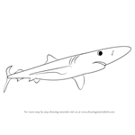 How to Draw a Blue Shark