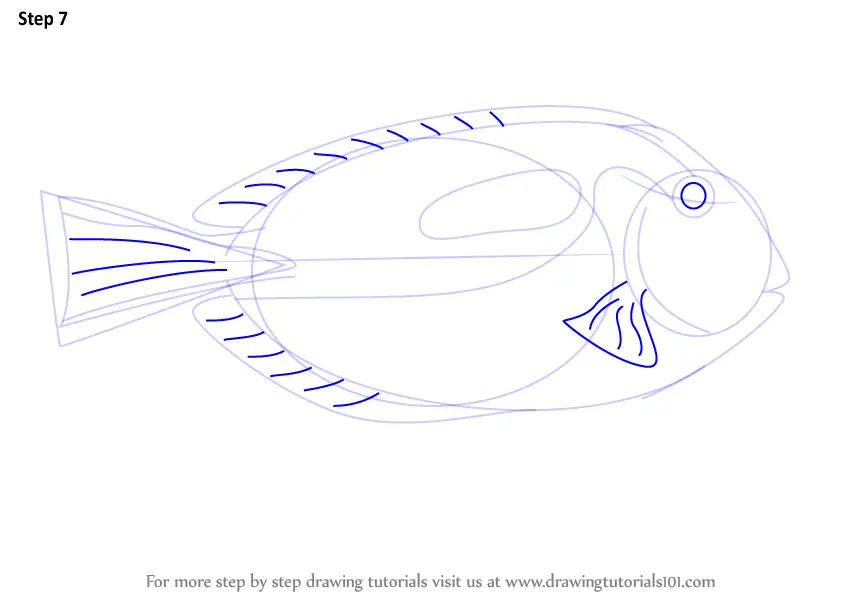 Learn How to Draw a Blue Tang (Fishes) Step by Step Drawing Tutorials