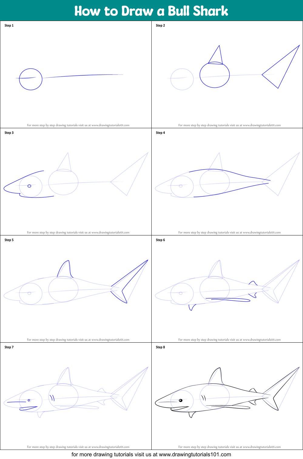 How to Draw a Bull Shark printable step by step drawing sheet