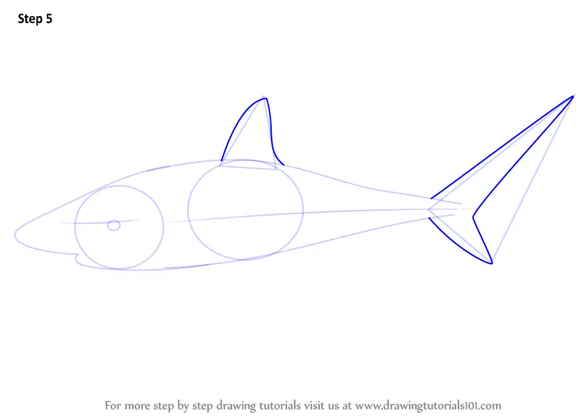 Learn How to Draw a Bull Shark (Fishes) Step by Step : Drawing Tutorials