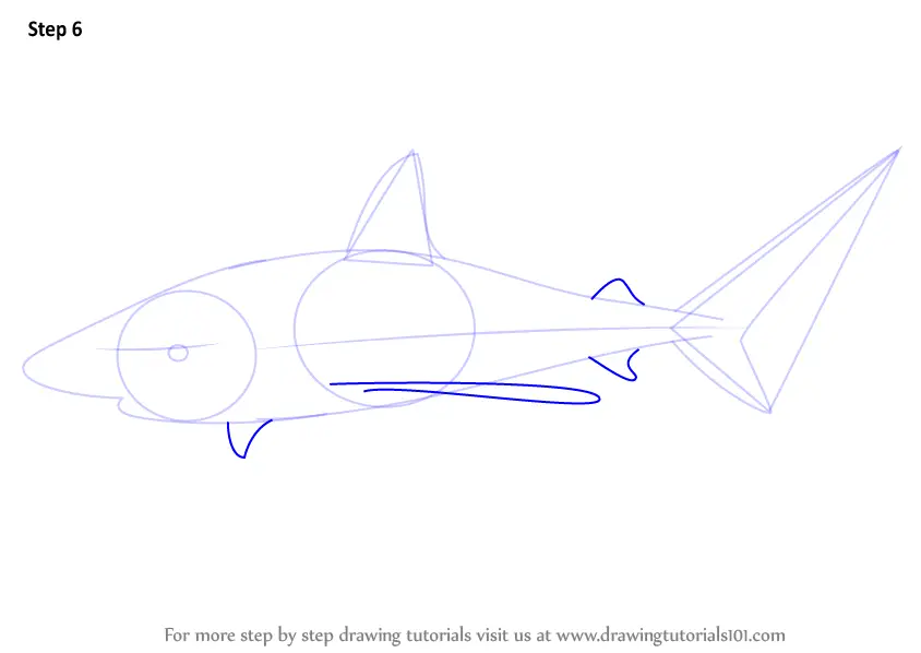 Learn How to Draw a Bull Shark (Fishes) Step by Step : Drawing Tutorials