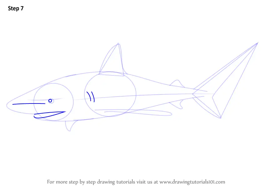 Step by Step How to Draw a Bull Shark