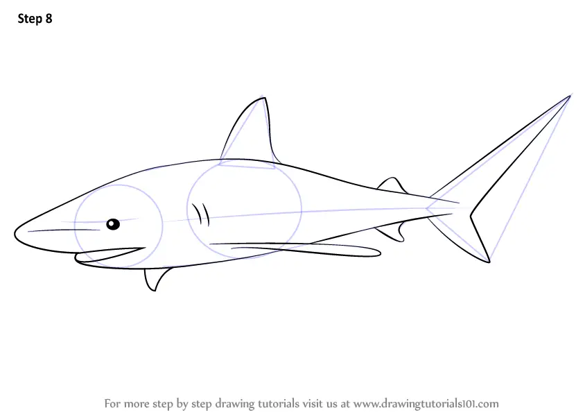 Step by Step How to Draw a Bull Shark
