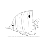 How to Draw a Butterflyfish