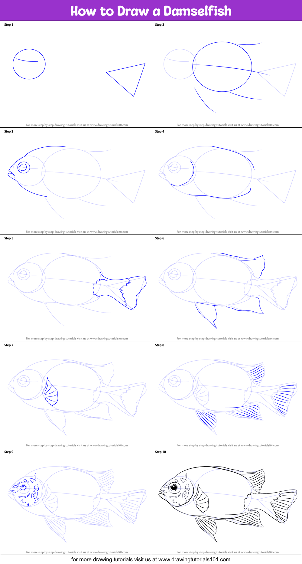 How To Draw A Damselfish Printable Step By Step Drawing Sheet 