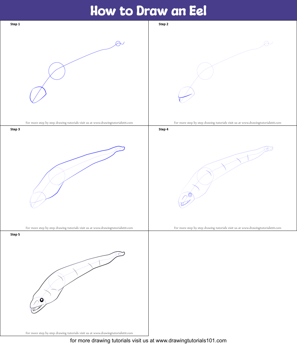 How To Draw An Eel Printable Step By Step Drawing Sheet