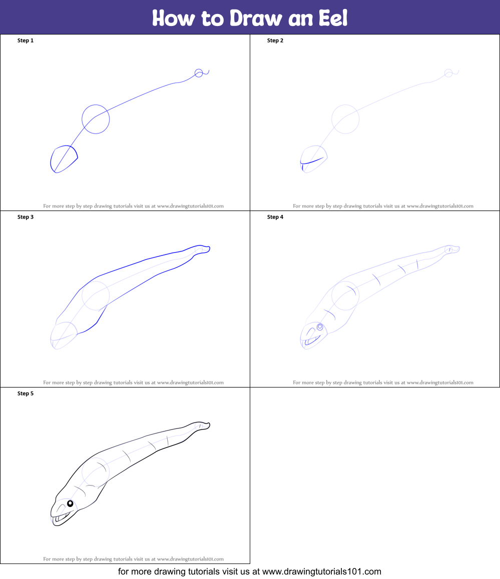 How to Draw an Eel printable step by step drawing sheet