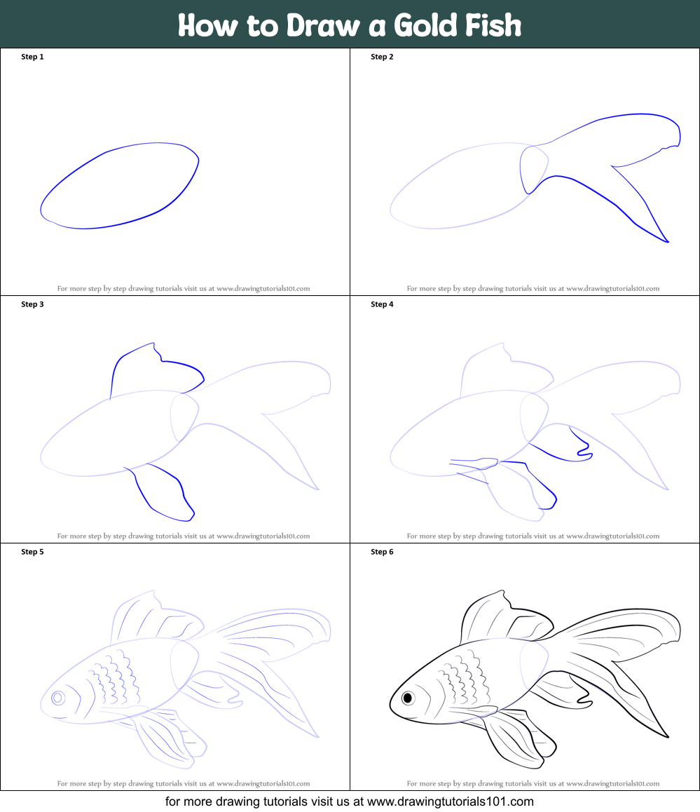 How to Draw a Gold Fish printable step by step drawing sheet