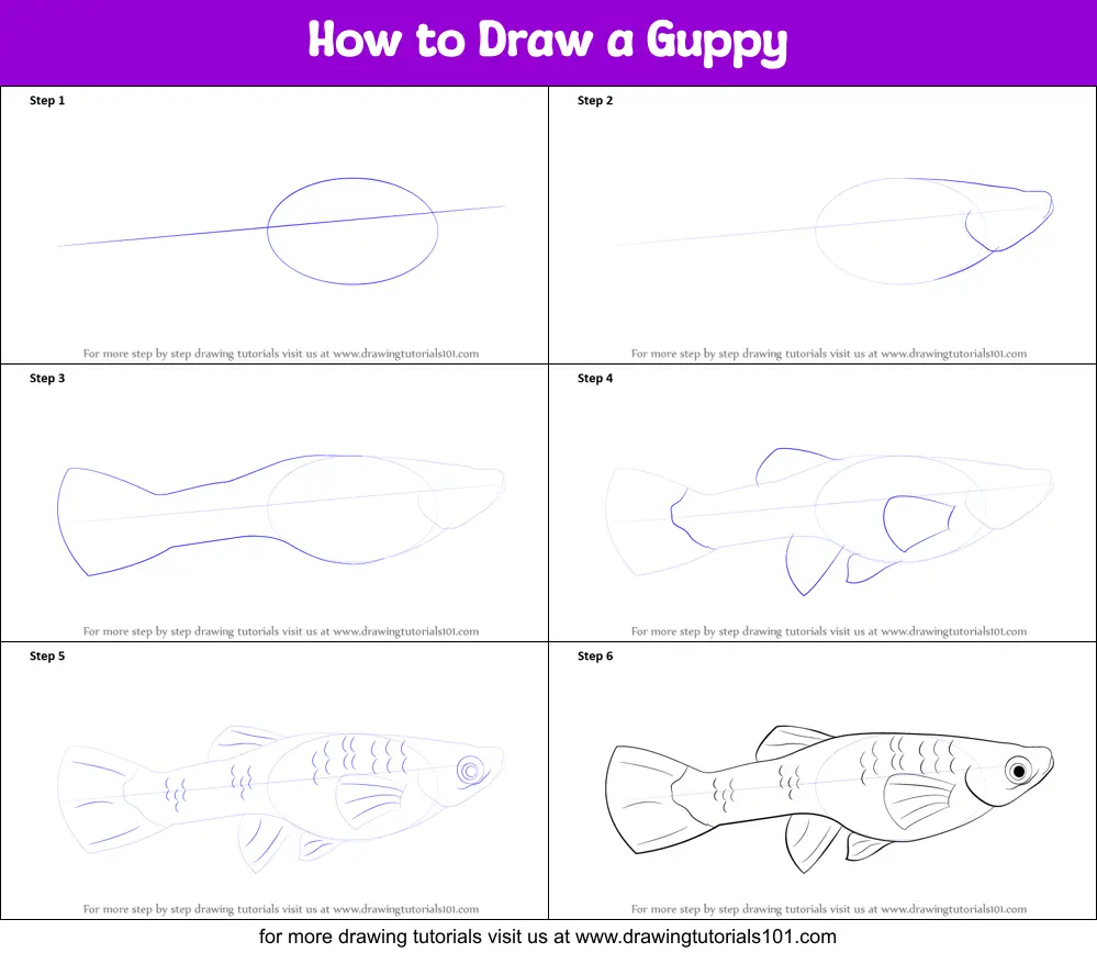 How to Draw a Guppy printable step by step drawing sheet ...