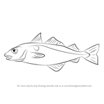 How to Draw a Haddock