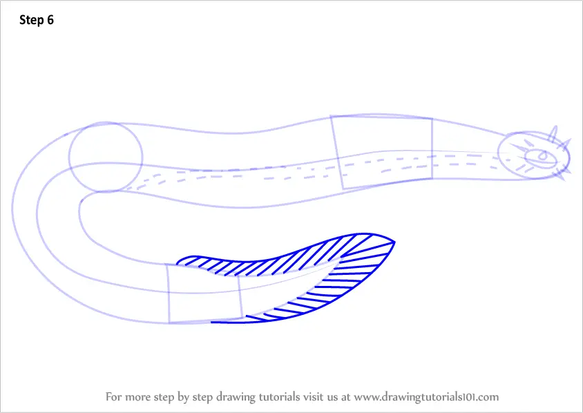 How to Draw Hagfish (Fishes) Step by Step