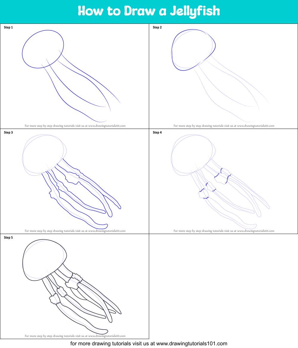 How to Draw a Jellyfish printable step by step drawing sheet
