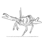 How to Draw a Lamington Spiny Crayfish