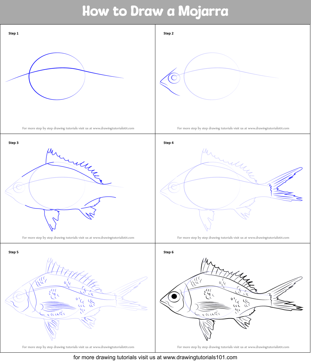 How to Draw a Mojarra printable step by step drawing sheet ...