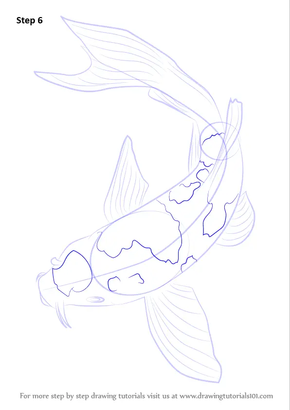Step by Step How to Draw a Koi Fish