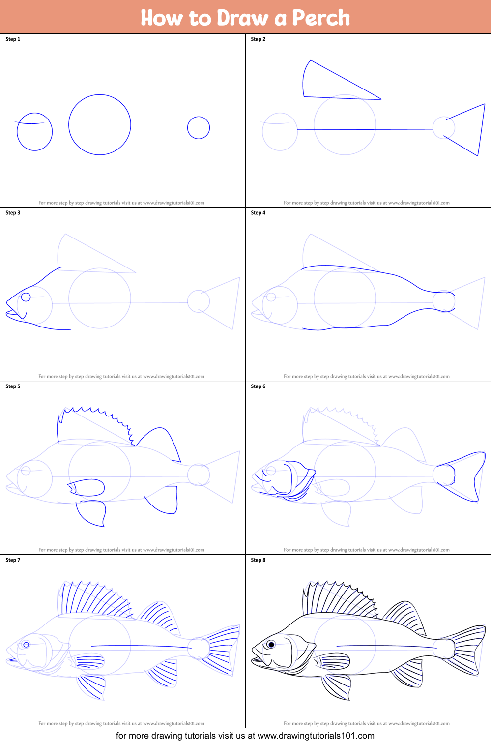 How to Draw a Perch printable step by step drawing sheet ...