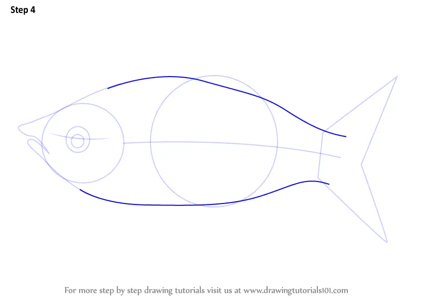 Learn How to Draw a Rainbow Fish (Fishes) Step by Step : Drawing Tutorials